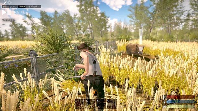 Farmer's Life Farmer's Life