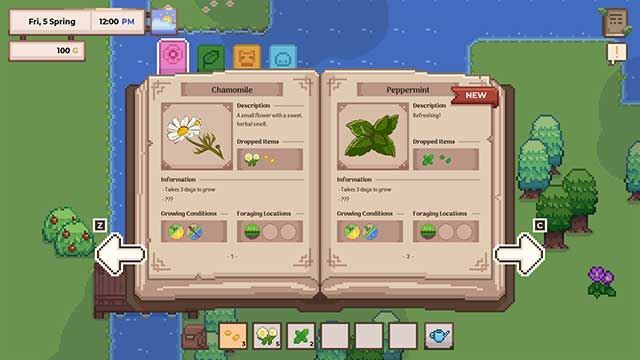 Research Story Research Story