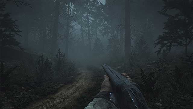 Pine Harbor Pine Harbor